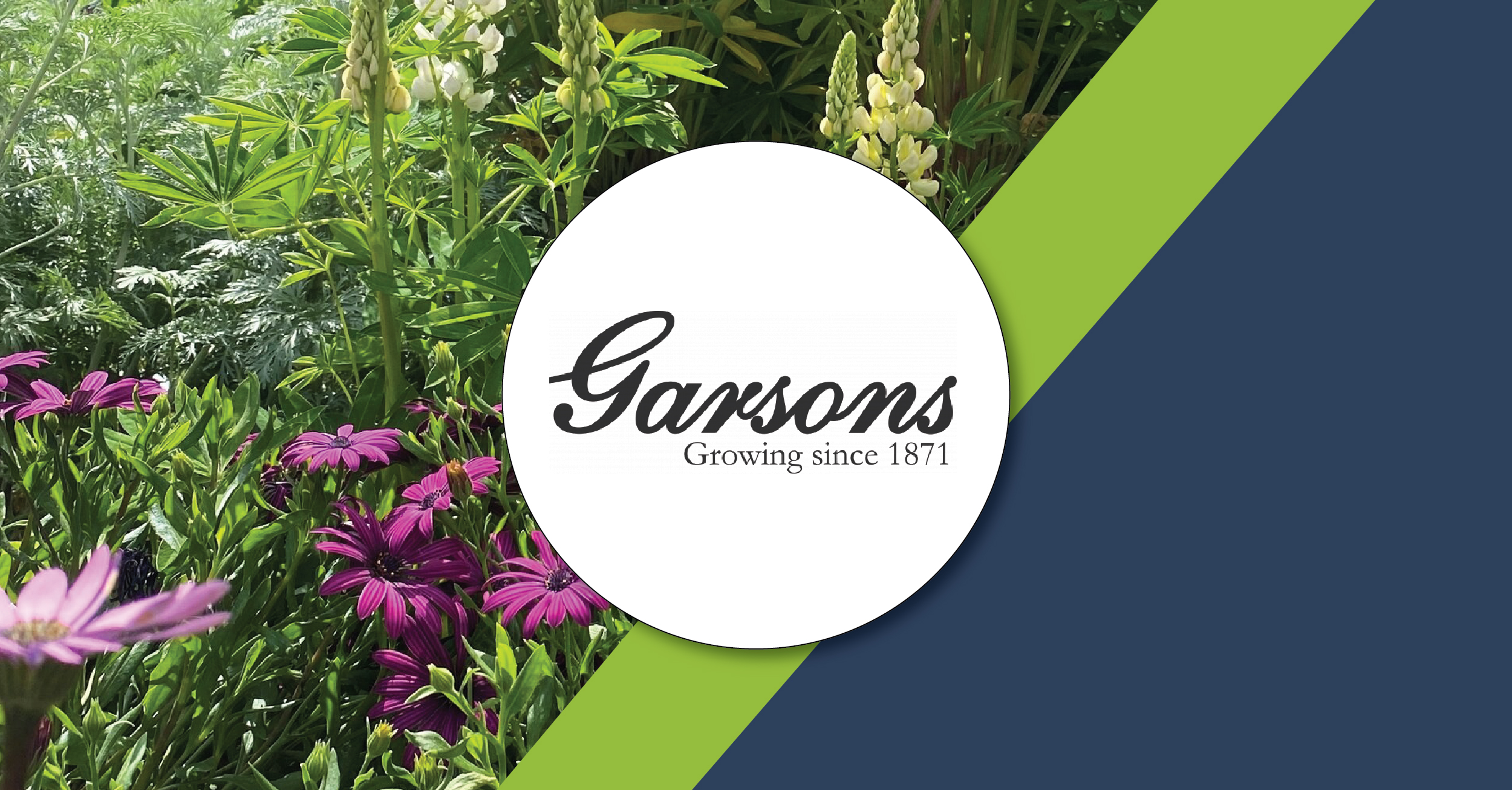 Garsons renewal